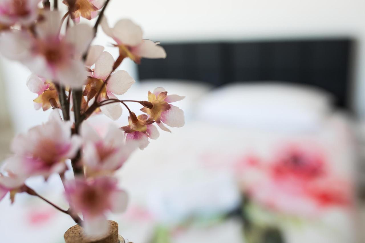 Studio Apartman Moonlight Zadar Ngoại thất bức ảnh