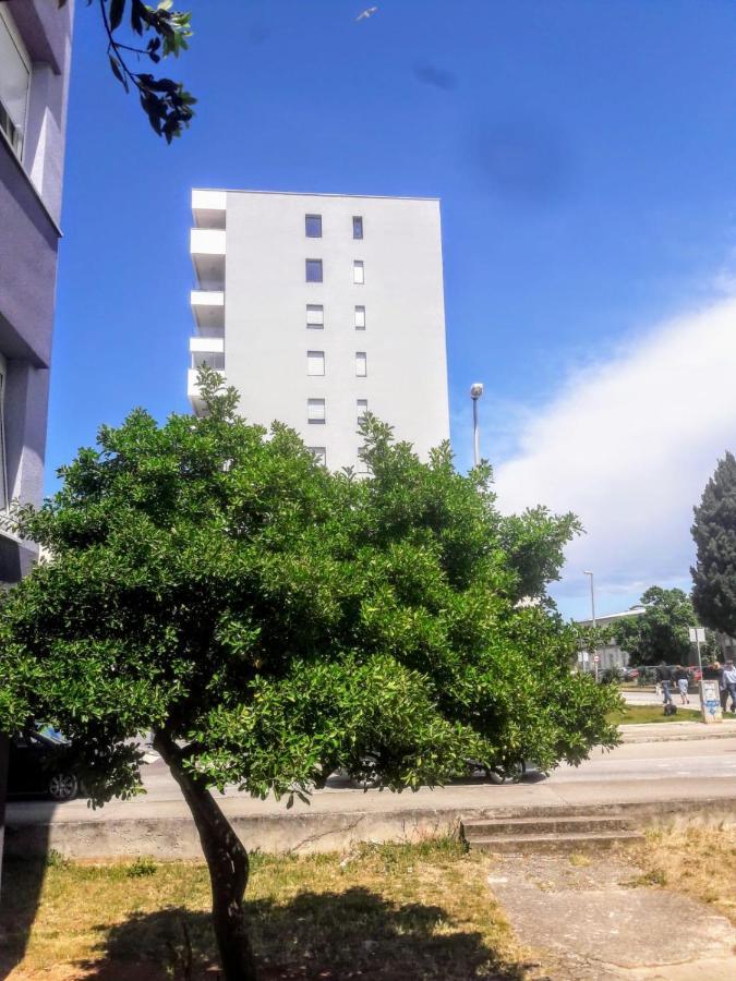 Studio Apartman Moonlight Zadar Ngoại thất bức ảnh